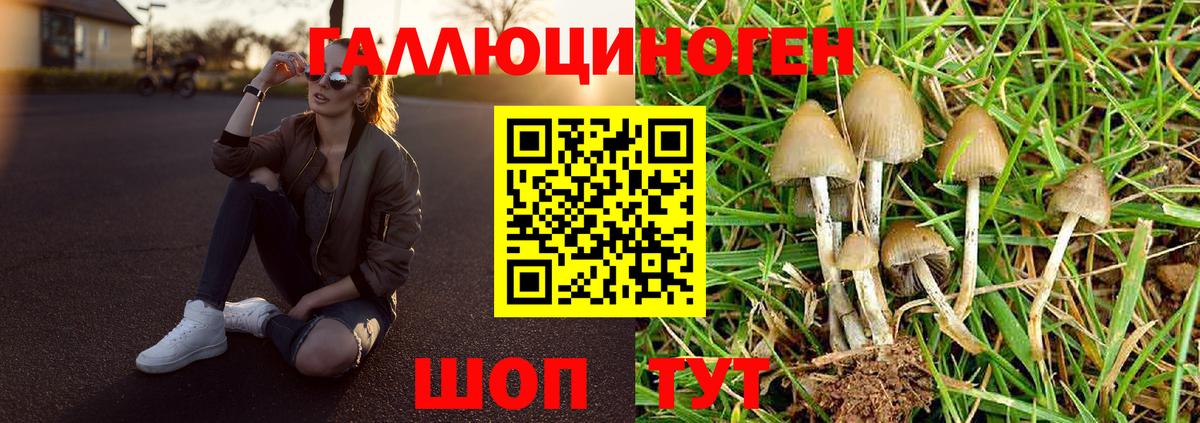 Галлюциногенные грибы Psilocybe  Вход с VPN  Пенза 